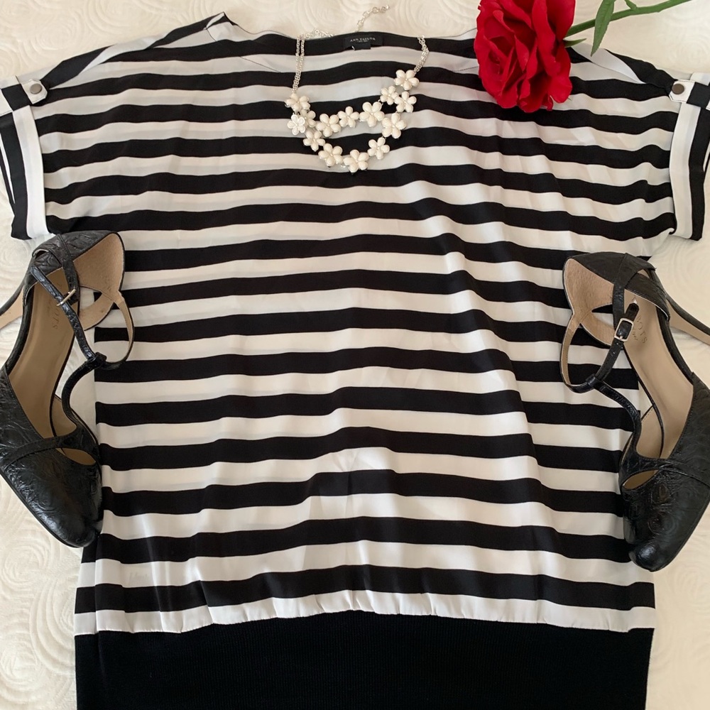 Ann Taylor NWT Dressy Top